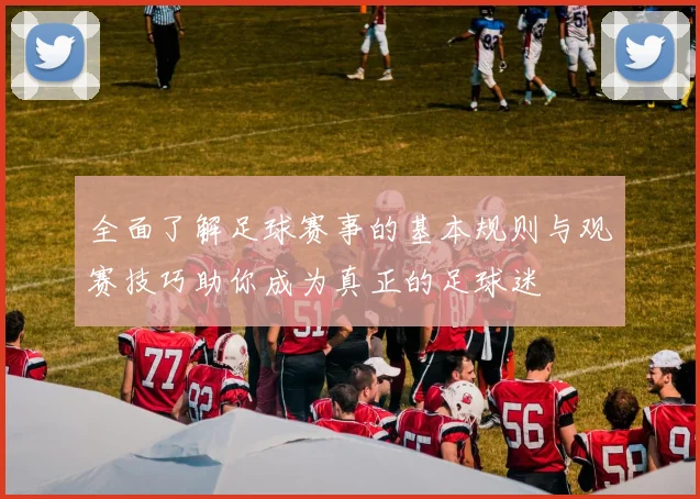 全面了解足球赛事的基本规则与观赛技巧助你成为真正的足球迷