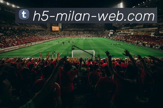 米兰体育服务体系